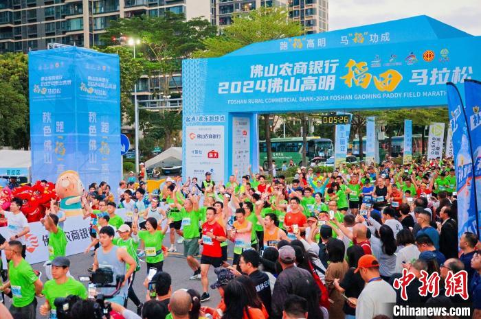 佛山高明稻田马拉松鸣枪开跑 万余名选手参与